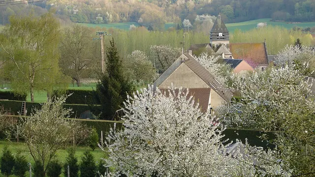 Photo de Morsain