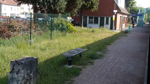 Photo de Pinon