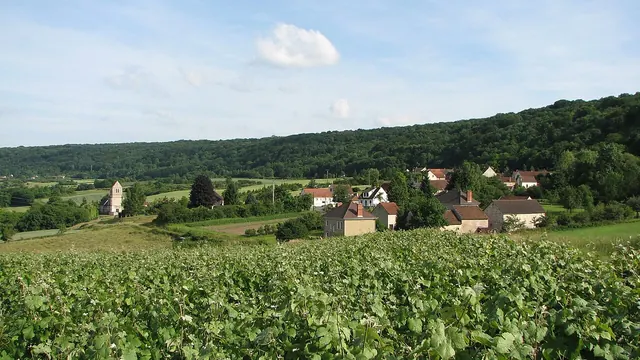Photo de Reuilly-Sauvigny