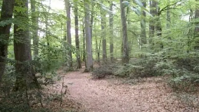 Photo de Isle-et-Bardais