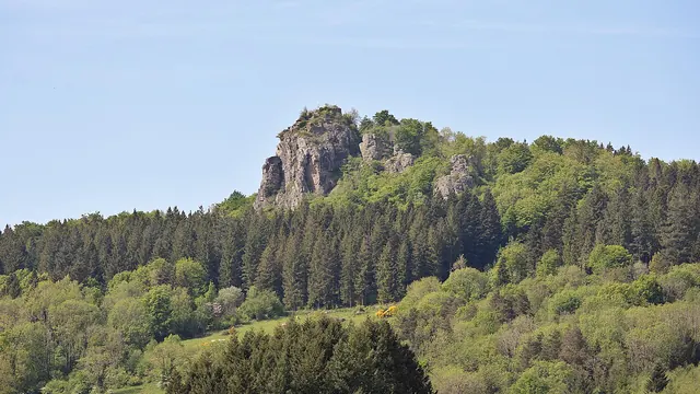 Photo de Lavoine