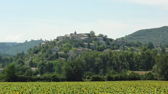 Photo de Dauphin
