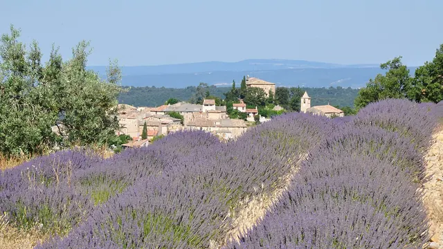 Photo de Entrevennes