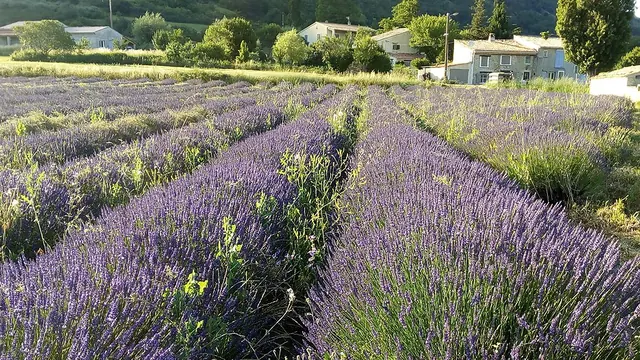 Photo de La Rochegiron