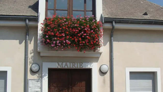 Photo de Neffes