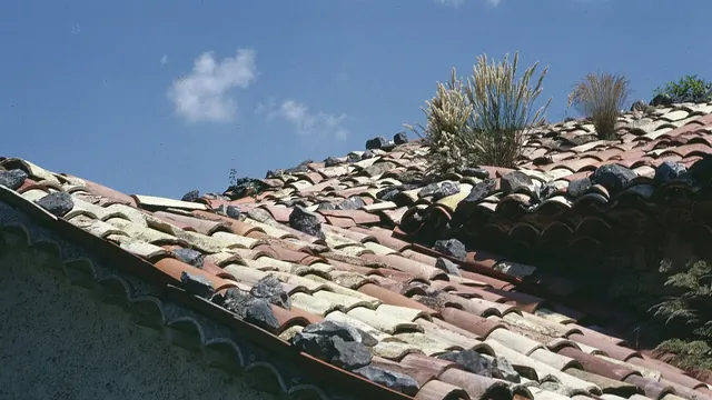 Photo de Salérans