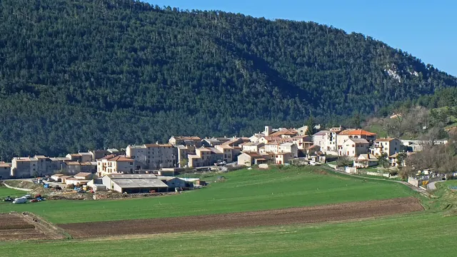 Photo de Caille