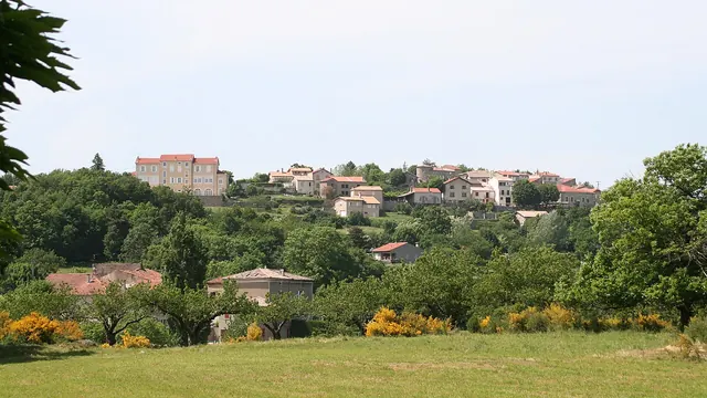 Photo de Champis