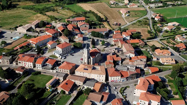 Photo de Félines