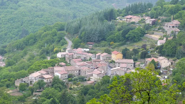 Photo de Prunet