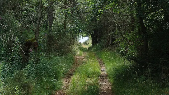 Photo de Saint-Alban-en-Montagne