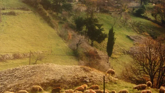 Photo de Saint-Andéol-de-Berg