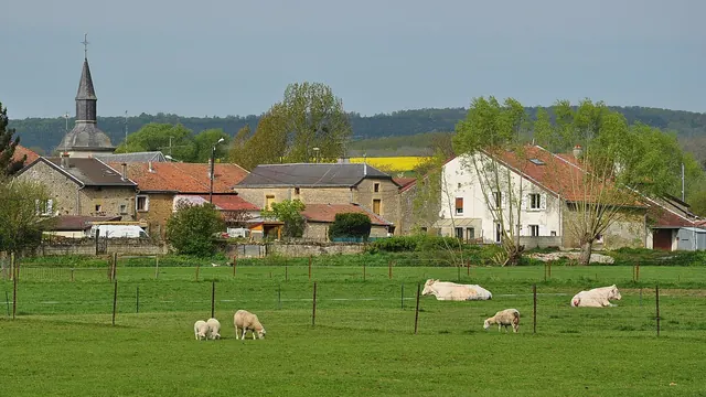 Photo de La Ferté-sur-Chiers