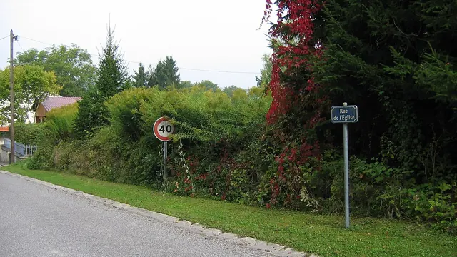 Photo de Lançon