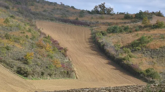 Photo de Cazals-des-Baylès