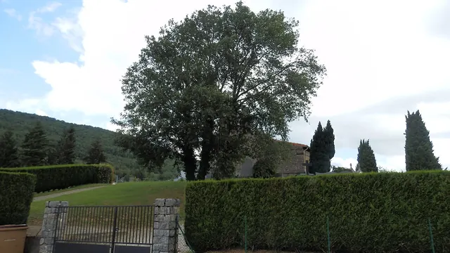 Photo de Saint-Jean-d'Aigues-Vives