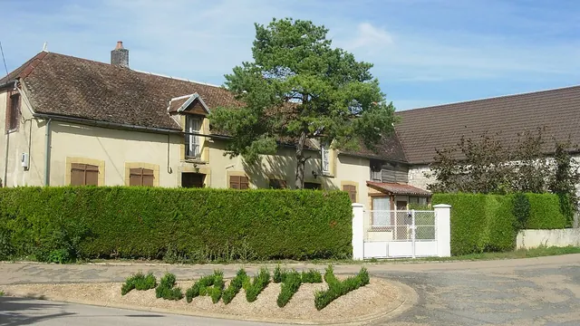 Photo de Planty