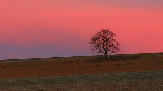 Photo de Rilly-Sainte-Syre