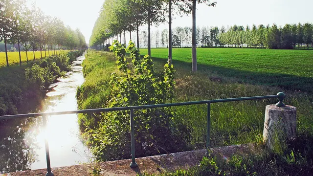 Photo de Vaudes