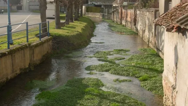 Photo de Vendeuvre-sur-Barse
