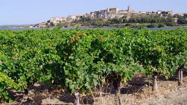 Photo de Bages
