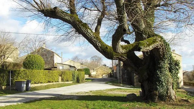 Photo de Brousses-et-Villaret