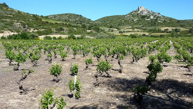 Photo de Corbières