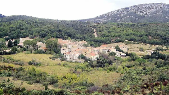 Photo de Feuilla