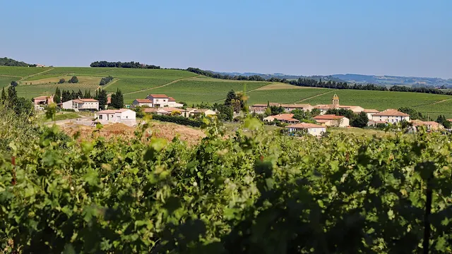 Photo de Gaja-et-Villedieu