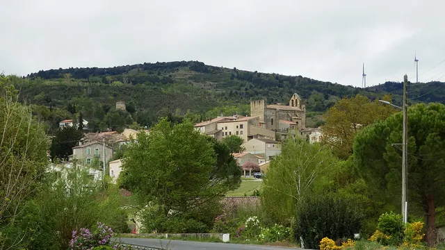 Photo de Magrie