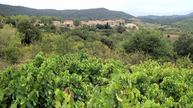 Photo de Quintillan