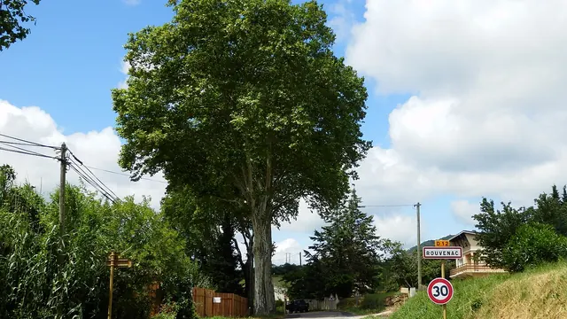 Photo de Rouvenac