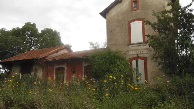Photo de Soupex
