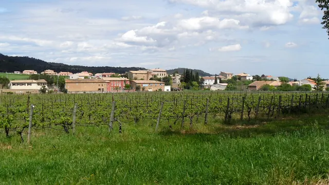 Photo de Tournissan