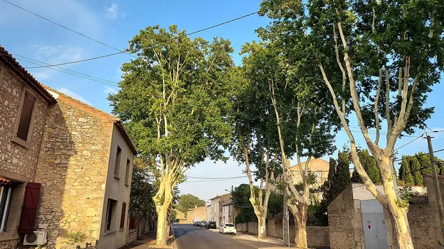 Photo de Villedaigne