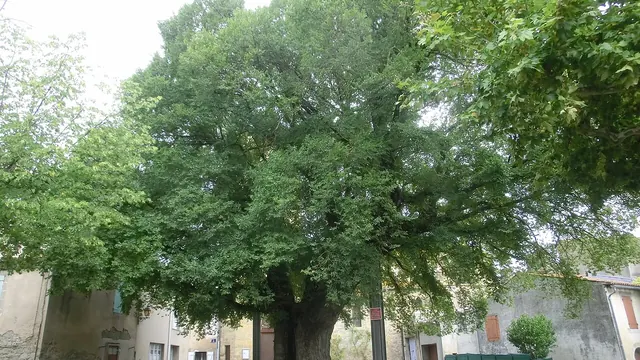 Photo de Villesèquelande