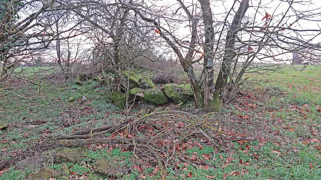 Photo de Les Costes-Gozon