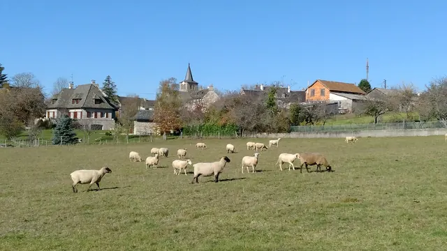 Photo de Le Nayrac