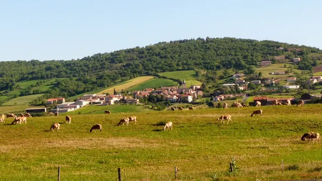 Photo de Rebourguil