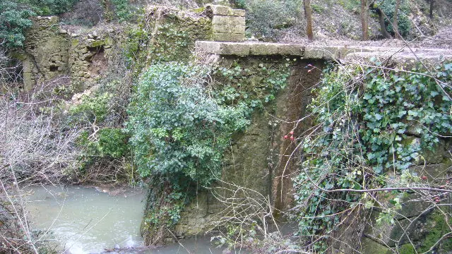 Photo de Rognes