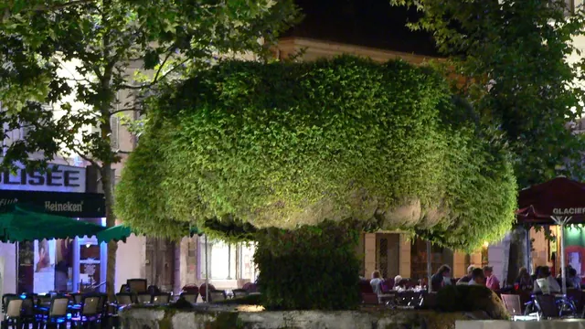 Photo de Salon-de-Provence