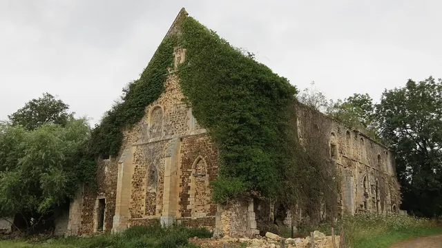 Photo de Barbery