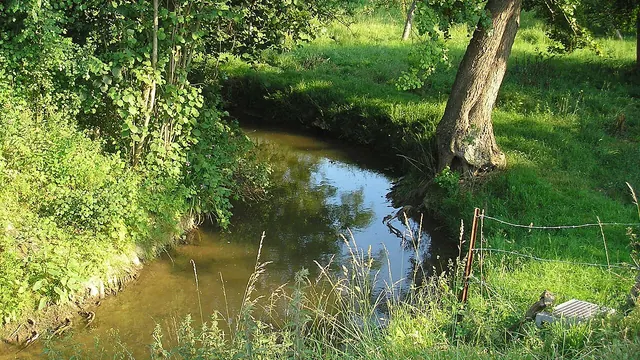 Photo de Condé-sur-Ifs