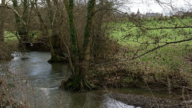 Photo de Les Isles-Bardel