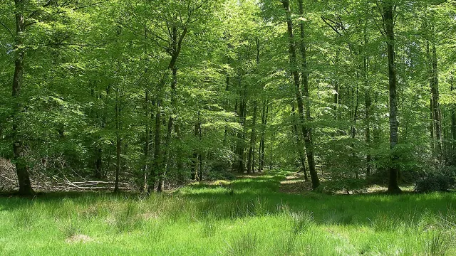 Photo de Montfiquet