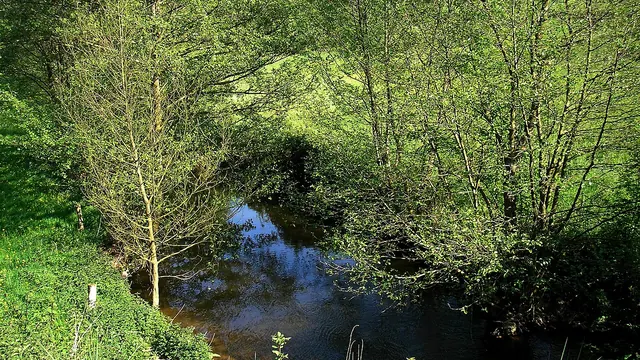 Photo de Saint-Vigor-des-Mézerets