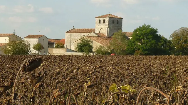 Photo de Bunzac