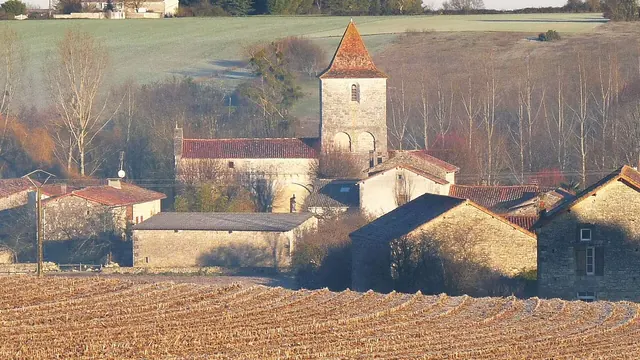 Photo de Mouton