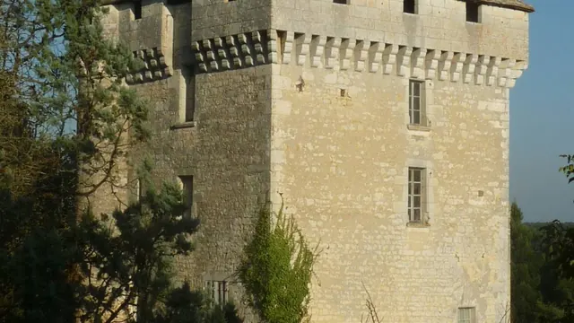 Photo de Les Pins
