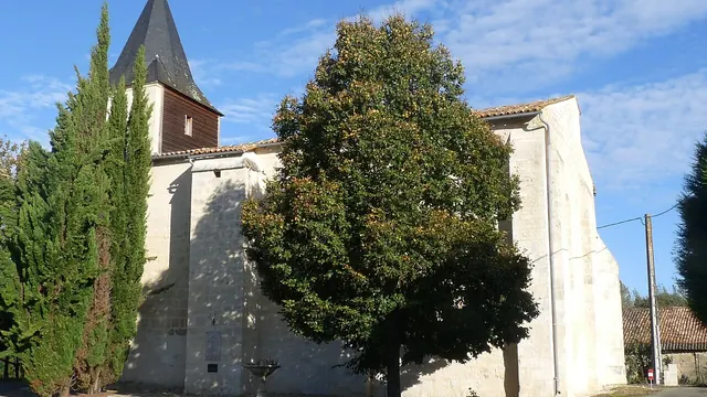 Photo de Bran